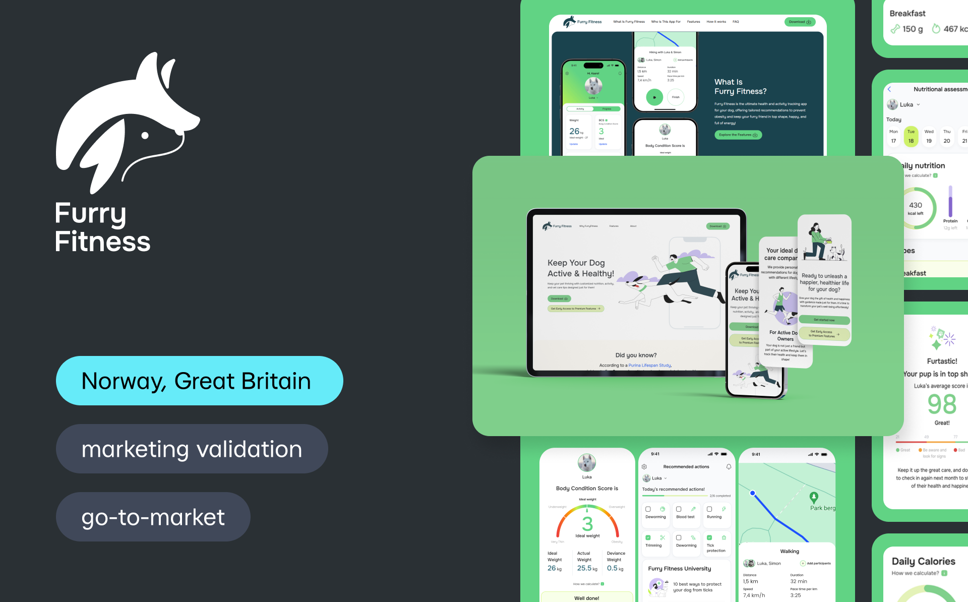 Як Yedynka допомогла Furry Fitness валідувати ринок, скоротити витрати на 70 % і отримати фінансування